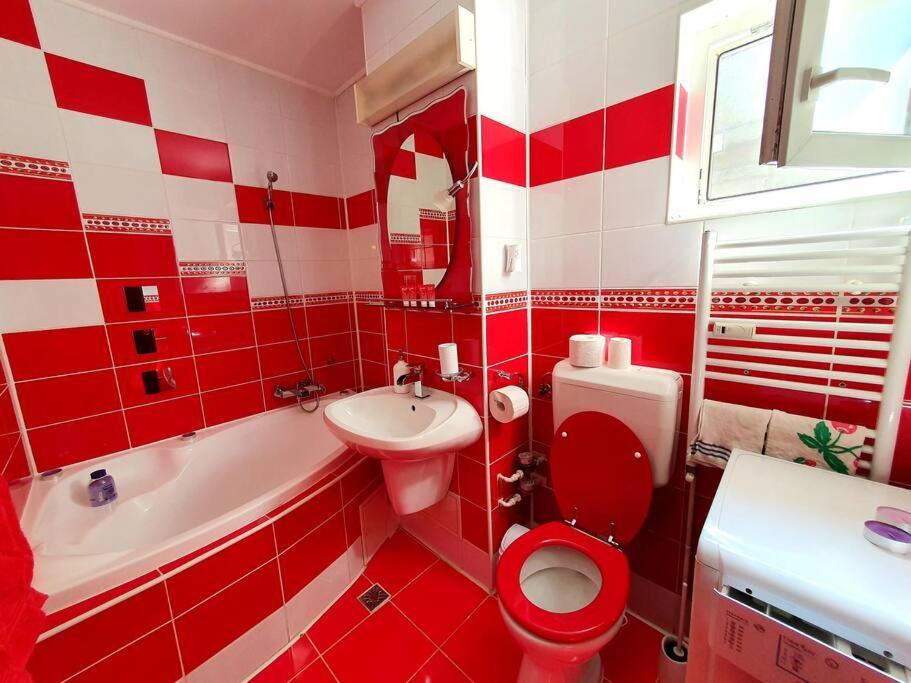 Crema Apartaments Ploieşti Exteriör bild